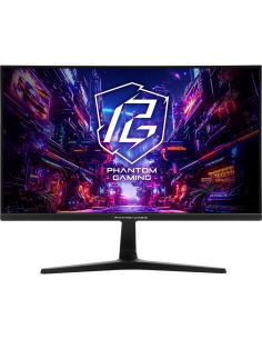 ASROCK 24.5 PG25FFT 180HZ 2